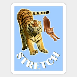 Stretch exercise by a tiger and a cat - white text Magnet